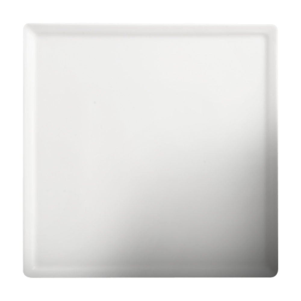Cameo 8" Plate, 18 /Case