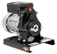 Trento Tomato Squeezer, 110 RPM, 0.4 HP, 115V