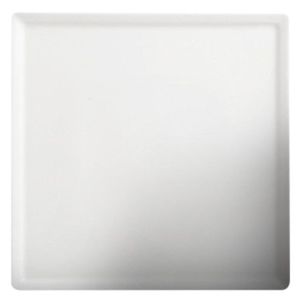 Cameo 10" Plate, 12 /Case