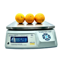 KiloTech SW Bench Weighing Scale