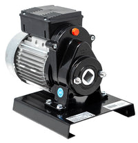 Trento Tomato Squeezer, 110 RPM, 0.8 HP, 115V