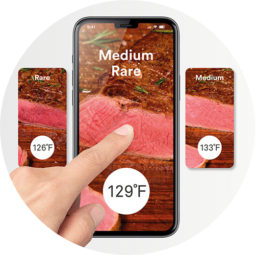 Breville the Joule Turbo Immersion Circulator, Polished Stainless Steel