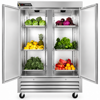 Centreline 54" Reach In Freezer with 2 Solid Doors