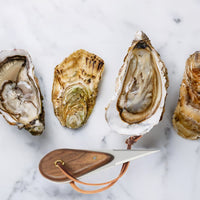 Fox Run Au Bord De La Mer Oyster Gift Box
