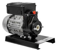 Trento Tomato Squeezer, 110 RPM, 0.3 HP, 115V