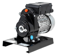 Trento Tomato Squeezer, 110 RPM, 0.4 HP, 115V