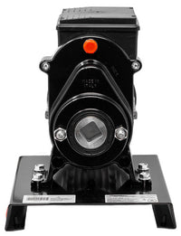 Trento Tomato Squeezer, 110 RPM, 0.4 HP, 115V