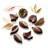 Siliko Mart Nature Mold - SCG10