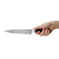 Shun DM0761
