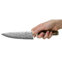 Shun TDM0723