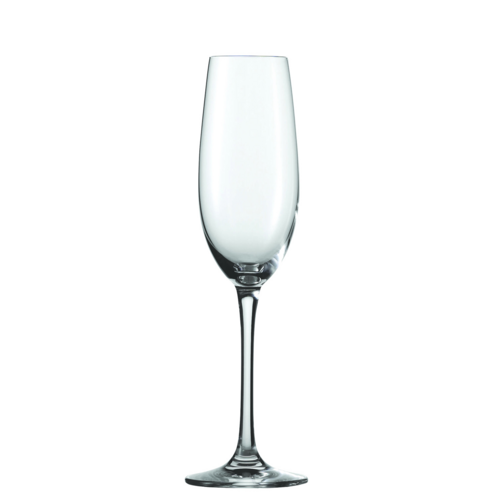 Fortessa Ever/Classico 6.8 OZ Champagne Glass 6 /Case