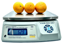 KiloTech SW Bench Weighing Scale