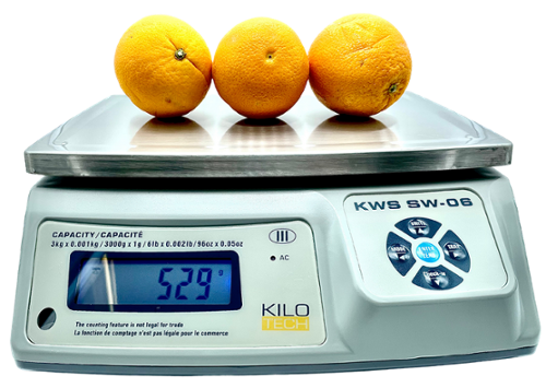 KiloTech SW Bench Weighing Scale