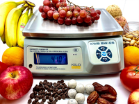 KiloTech SW Bench Weighing Scale