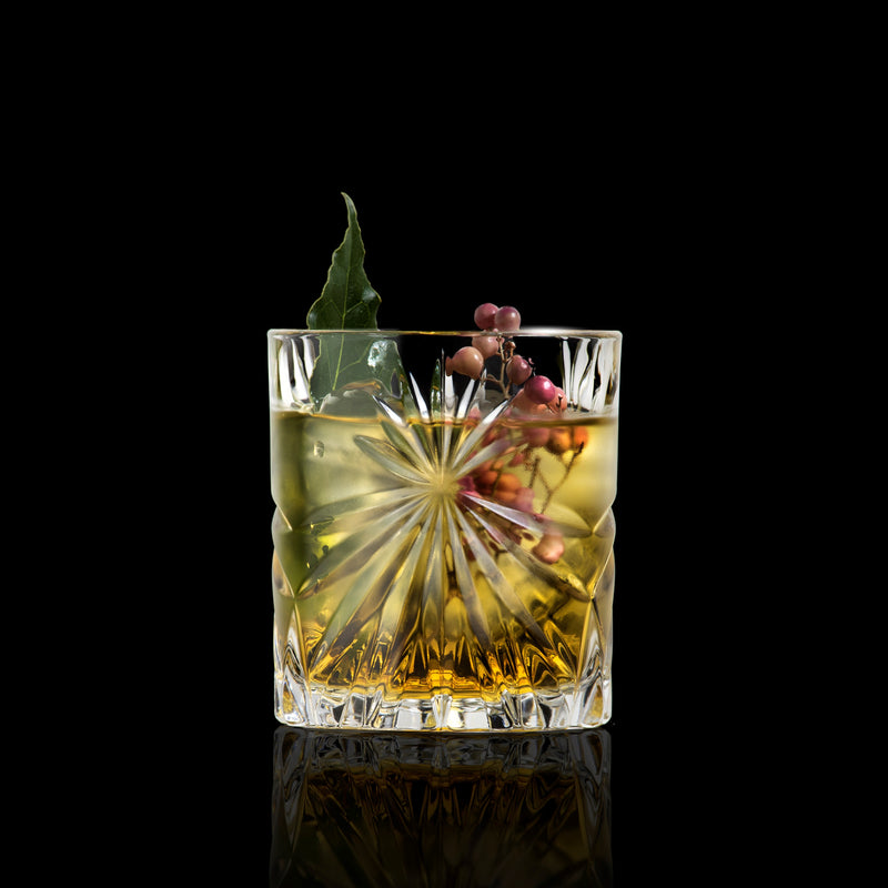 RCR 10.75 Oz Cristalleria Italiana Oasis DOF/Whiskey Glass, 6/Case