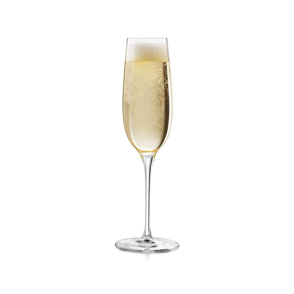 Libbey Master's Reserve 8 Oz Flute Glass, Renaissance 12 /Case