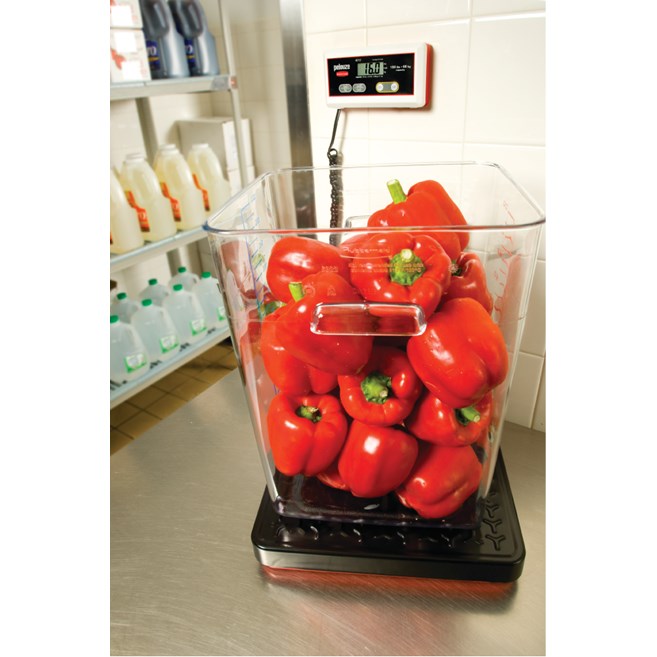 Rubbermaid Pelouze 68 kg Digital Receiving Scale