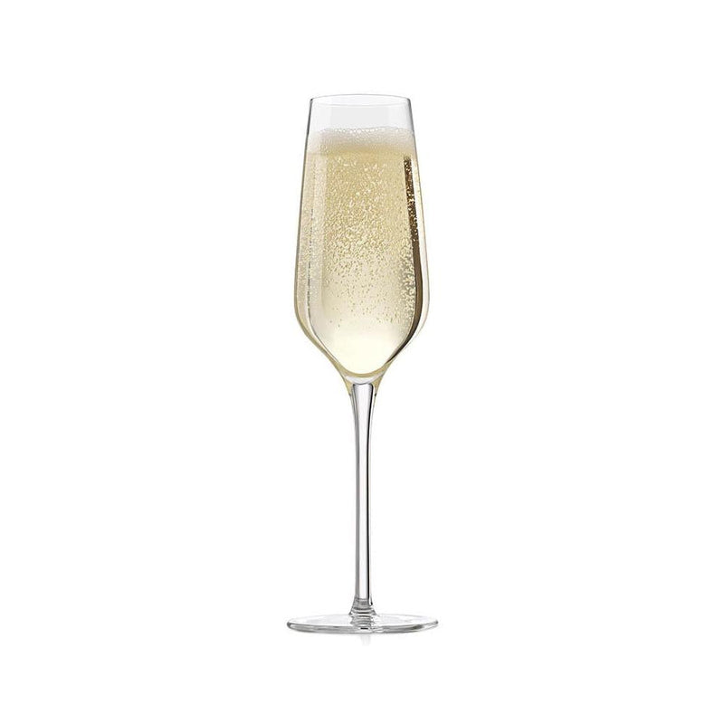 Libbey Master Reserve 8 Oz Champagne Flute Glass, 12 /Case