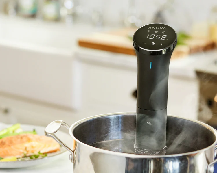 Anova Precision Nano Sous Vide Immersion Circulator