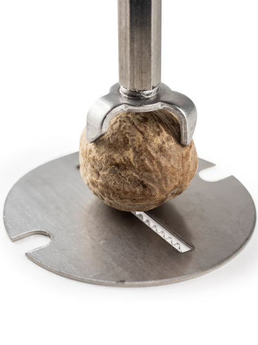 Peugeot Daman 6" Manual Nutmeg Mill, Stainless Steel and Acrylic