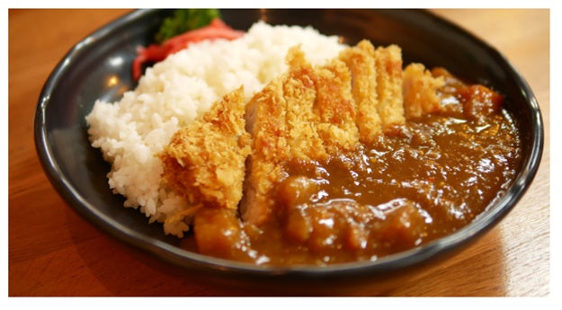 Delicious Japanese Katsu Recipe Ideas to Savor