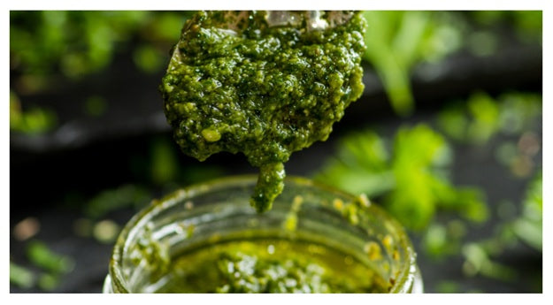 Basil Pesto: The Easiest & Most Delicious Version