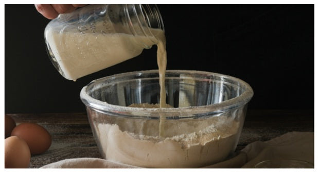Homemade Sourdough Starter