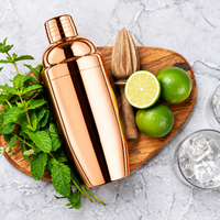 Final Touch  Double-Wall Stainless Steel Cocktail Shaker - Copper