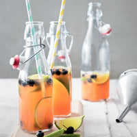 Trudeau 8.5 Oz Swing Bottle