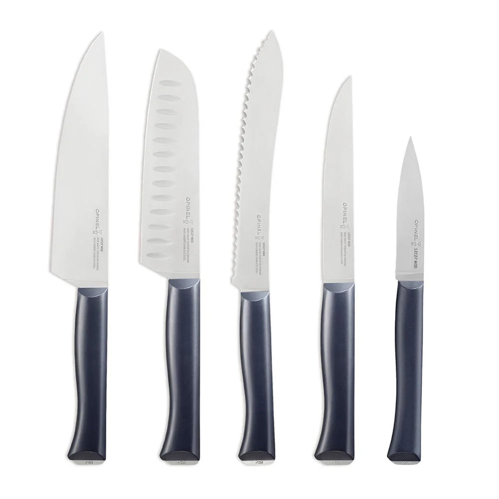 Opinel Intempora 5 PC Knife Block Set