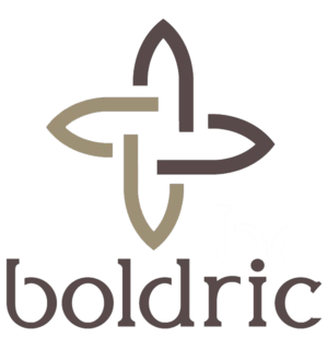 Boldric logo