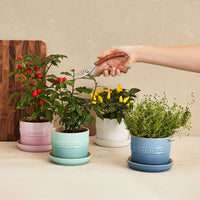 Title Le Creuset 14 cm Stoneware Herb Planter, Meringue