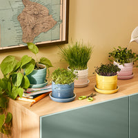 Le Creuset 14 cm Stoneware Herb Planter, Camomille