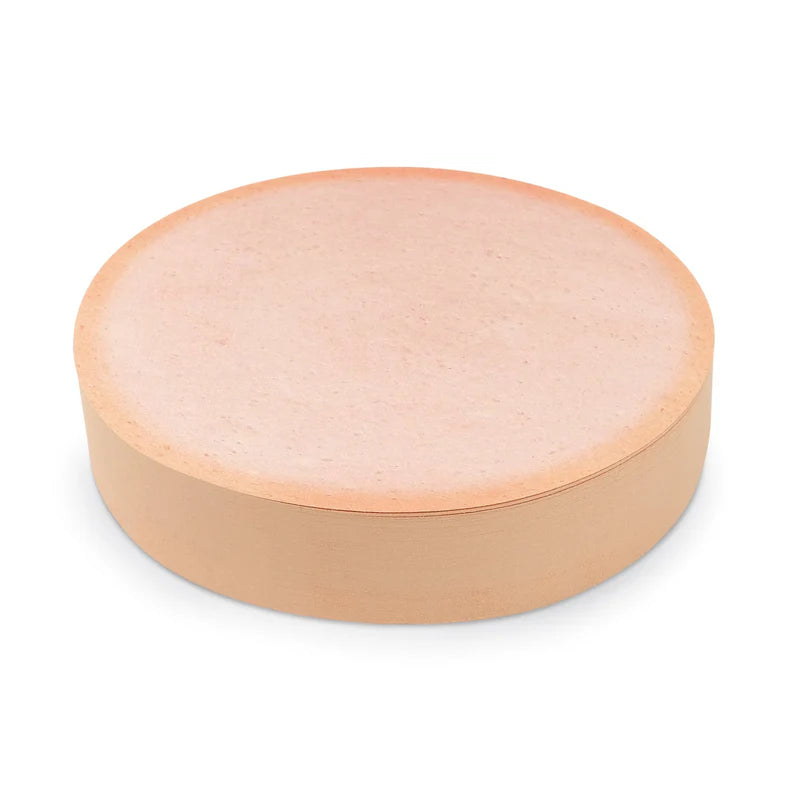 Fred Phony Bologna Sticky Notes