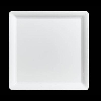 Steelite 6300P103