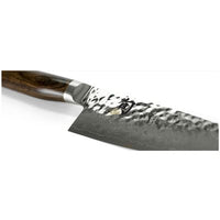 Shun TDM0723
