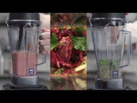 Vitamix 1002V